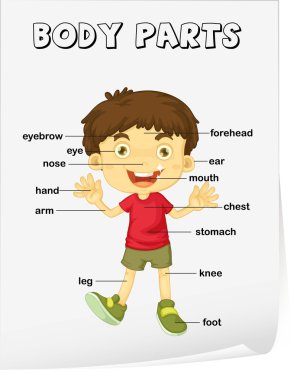 Vocabulary worksheet clipart