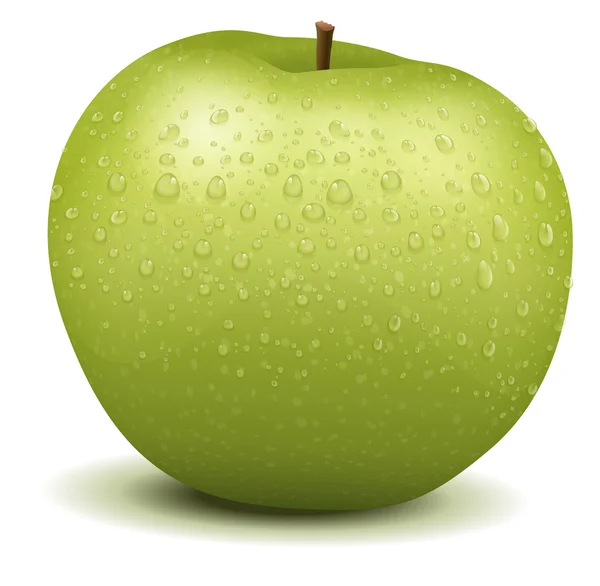 Realistischer Apfel — Stockvektor