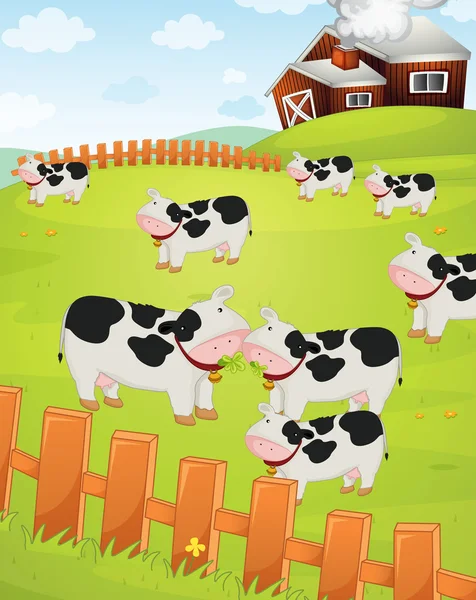 Koeien in een veld — Stockvector