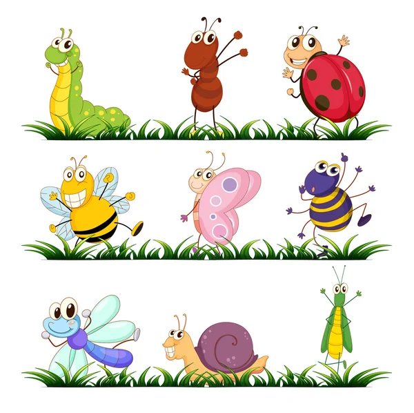 Insectes et petits animaux — Image vectorielle