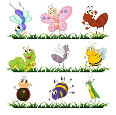 Insects clipart