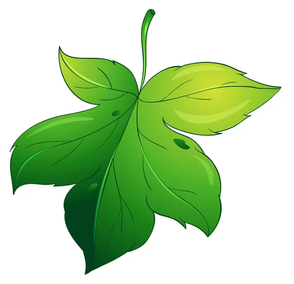 Leaf — Stock Vector