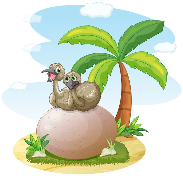 Pélican assis sur le rocher — Image vectorielle