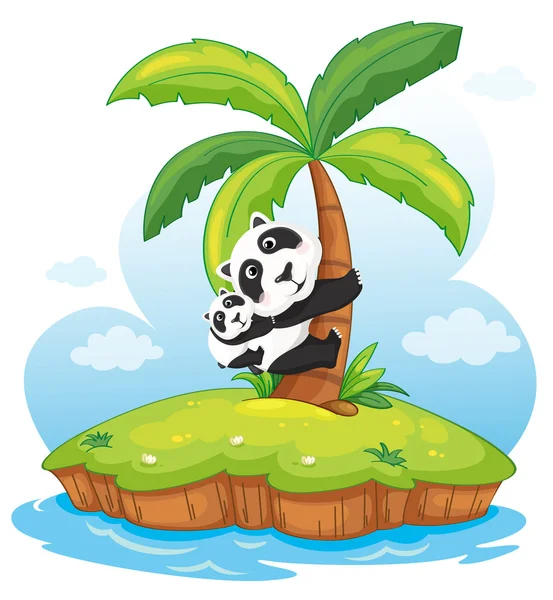 Isola di Panda — Vettoriale Stock