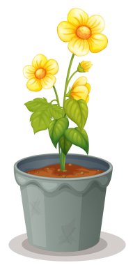 flower pot clipart