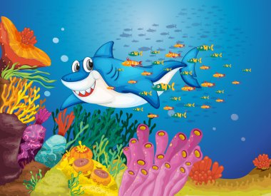 shark fish clipart