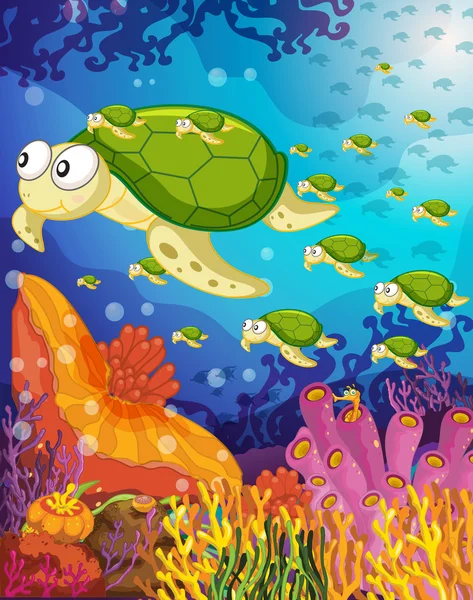 Χελώνα στο νερό — Διανυσματικό Αρχείο