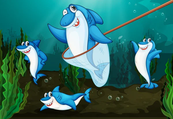 Köpek balığı balık — Stok Vektör