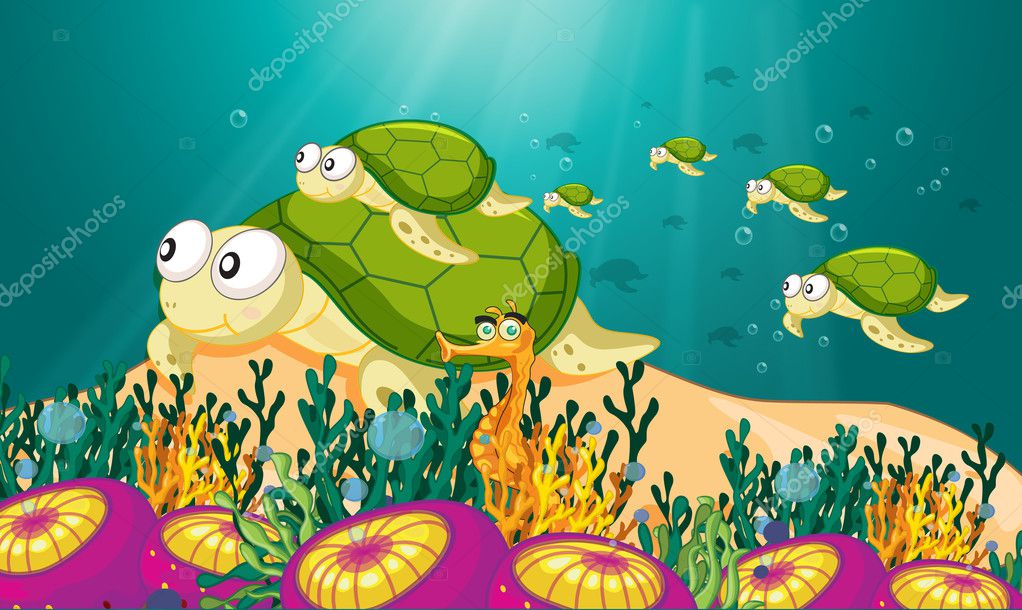 Tortoise in water — Stock Vector © interactimages #11300610