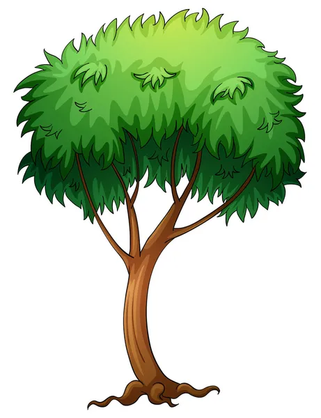 Árvore — Vetor de Stock