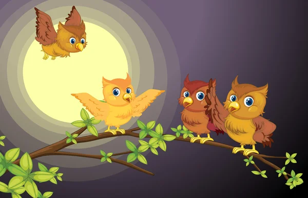Four owls — Stock Vector