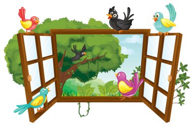 various birds clipart