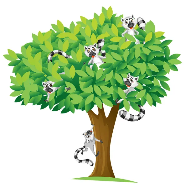Squirrels on tree — Stock Vector