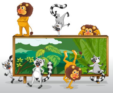 lion and squirrels with board clipart