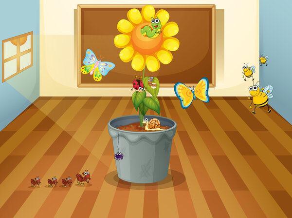 various insects in a classroom