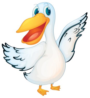 Animated pelican clipart