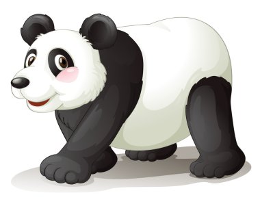 Panda.