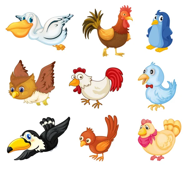 Colección de aves — Vector de stock