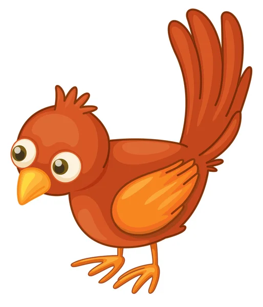 Rudý pták na bílém pozadí — Stockový vektor
