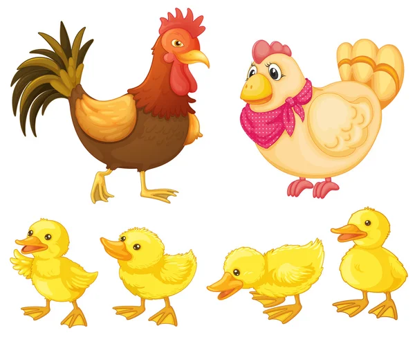 Chicken family — Stock Vector