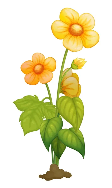Blume — Stockvektor