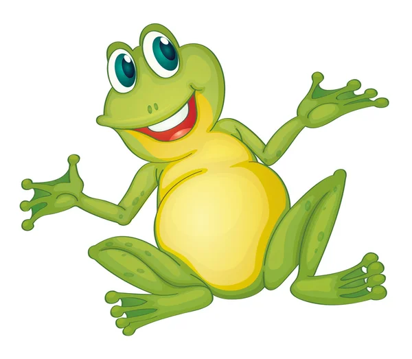 재미있는 개구리 — 스톡 벡터