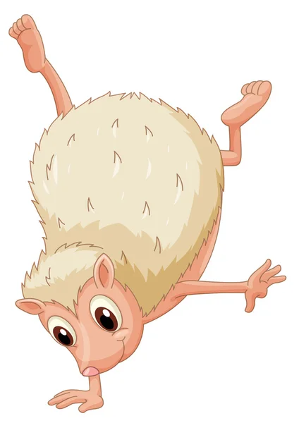 Hedgehog handstand — Stock Vector