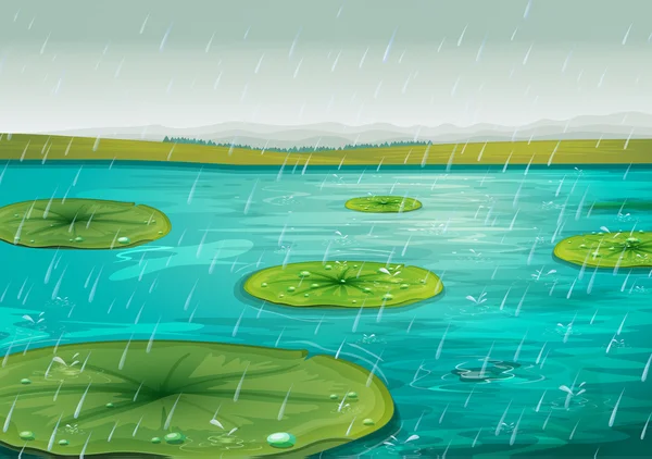 Chuva na lagoa — Vetor de Stock
