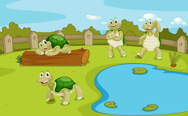 Sköldpaddor — Stock vektor
