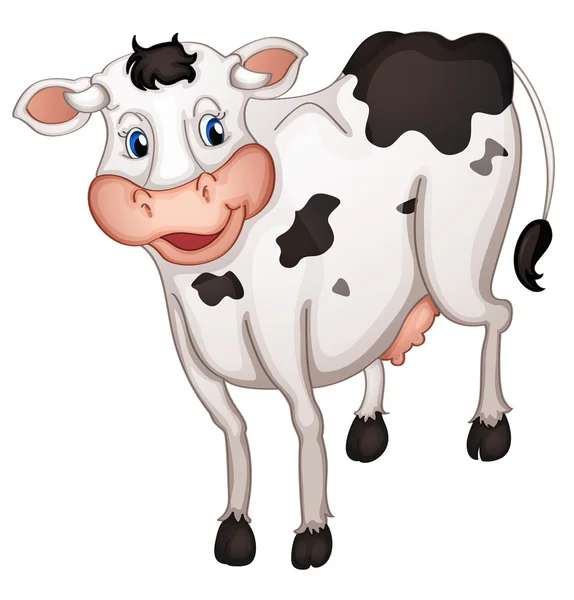 Abbildung einer Kuh auf weißem Hintergrund — Stockvektor