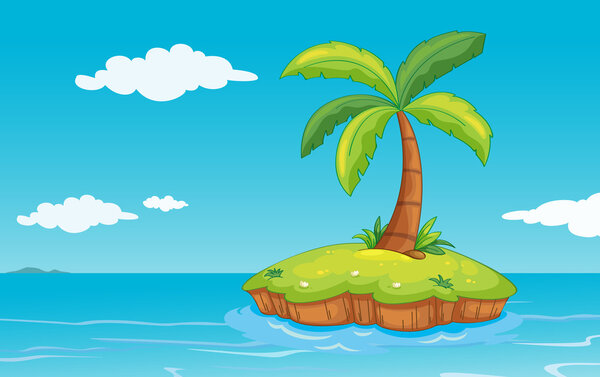 palm tree on island