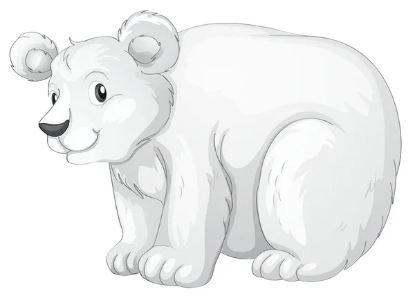Белый медведь — стоковый вектор