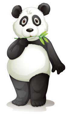 panda clipart