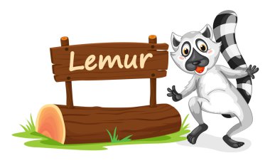 Lemur ve ad plakası