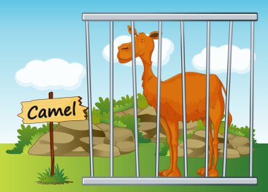 Camel in cage clipart