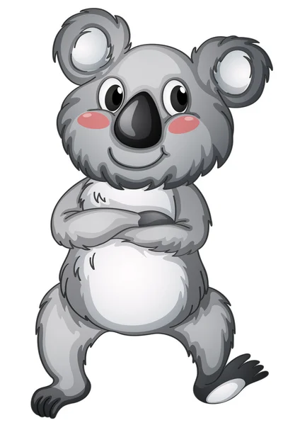 Koala — Wektor stockowy