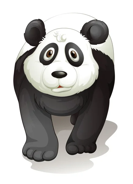 Panda. — Vetor de Stock