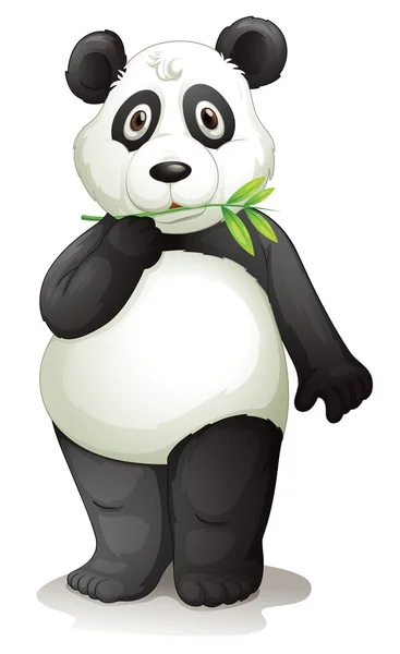 Panda. — Stok Vektör