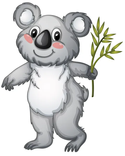 Koala — Stockvector