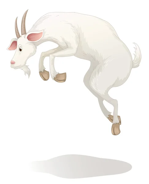 Goat — Stock Vector