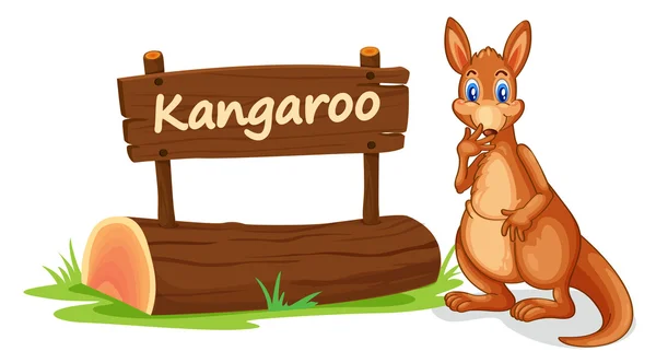 Kangaroo and name plate — Stock Vector