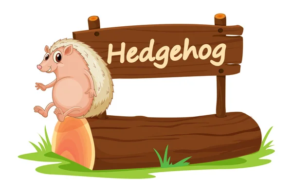 Hedgehog and name plate — Stock Vector