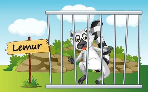 Lemur in cage — Stock Vector