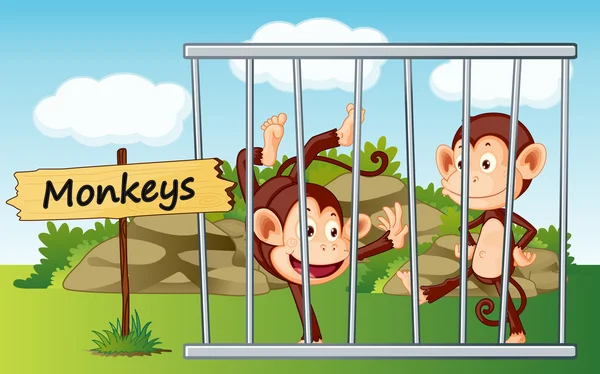 Macacos na gaiola — Vetor de Stock