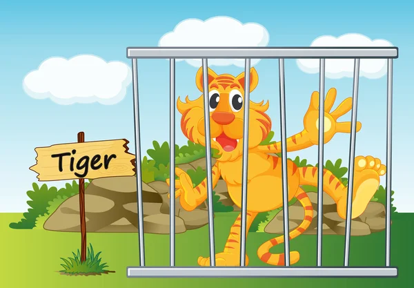 Tigre na gaiola — Vetor de Stock