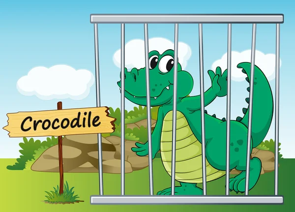 Crocodile in cage — Stock Vector