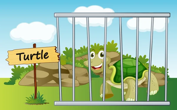 Schildkröte im Käfig — Stockvektor