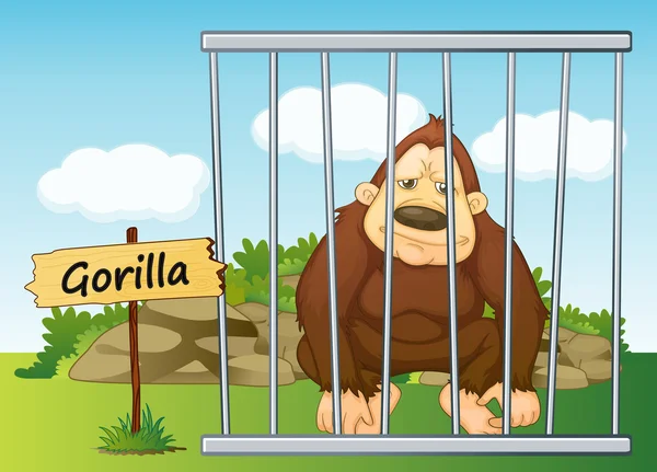 Gorila v kleci — Stockový vektor