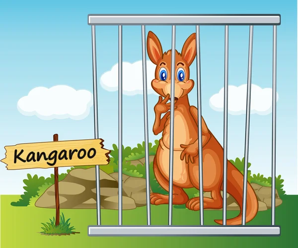 Kangaroo in cage — Stock Vector