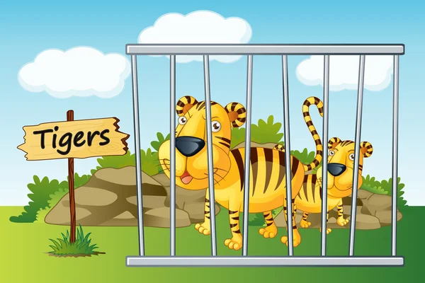 Tiger in cage — Stock Vector